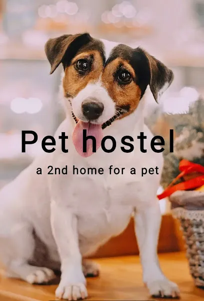 Pet Hostel Accomodation