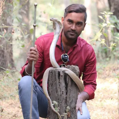 Snake Relief Foundation - Snake Rescue Bhilai