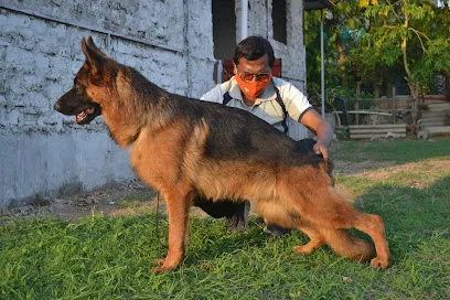 Deepa's Kennel