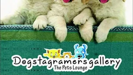 Dogsta Gramers Gallery The Pets Lounge