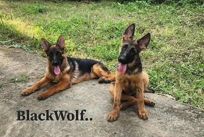 Kennel Blackwolf