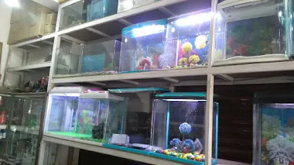 Modern Fish Aquarium