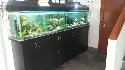 Rajput Aquarium