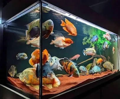 Near Me Aquarium Shop