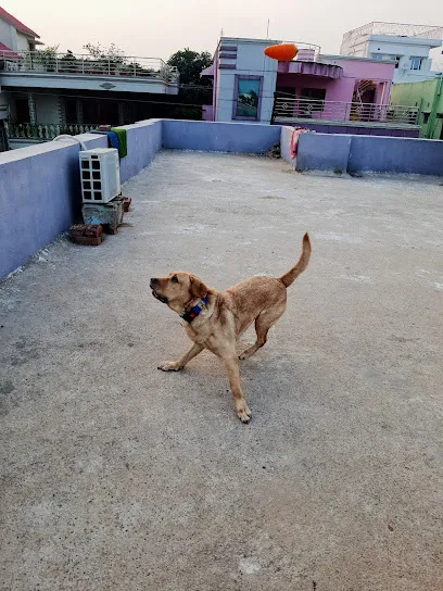 Petzoo (Dog Hostel)