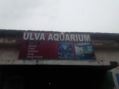 Ulva Aquarium