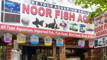 Noor Fish Aquarium