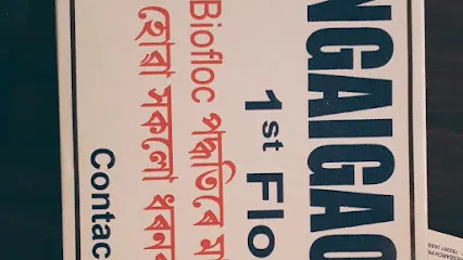 Biofloc Materials Assam