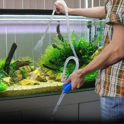 Aquarium Cleaning Service And Repair