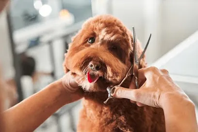 19 Dogs - Dog Grooming And Spa