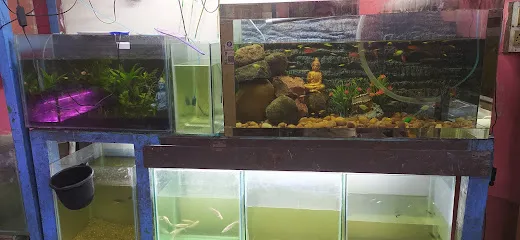 Babies Aquarium