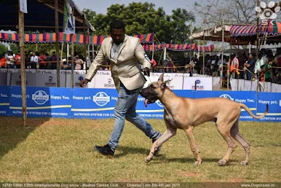 Best Dog Trainer In Chennai