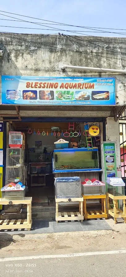 Blessing Aquarium