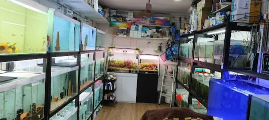 Chennai Aqua Studio - The Nature Aquarium