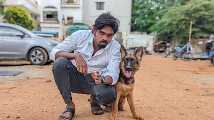 Chennai Dog Training At Door Step