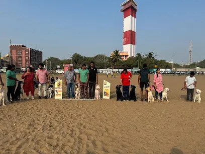 Chennai Smart Dog Trainers