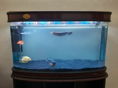 Dhanam Aquarium