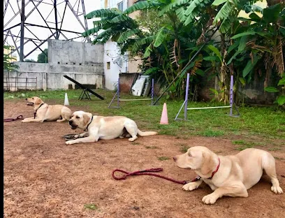 Hachiko Dog Training Centre