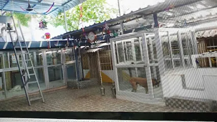 Hostel For Dogs