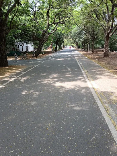 Iit Campus Forest Marshland