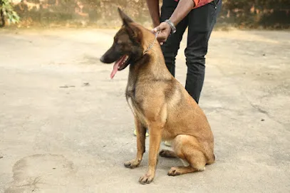 Lathika Kennel Training Centre