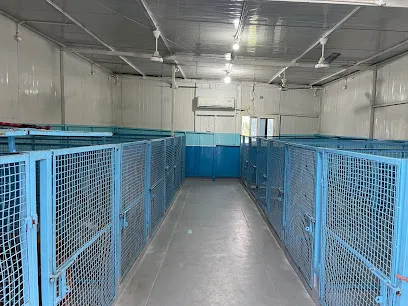 Moshivibi Dog Boarding Kennel