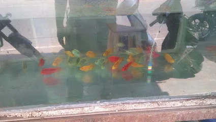 Naga Aquarium