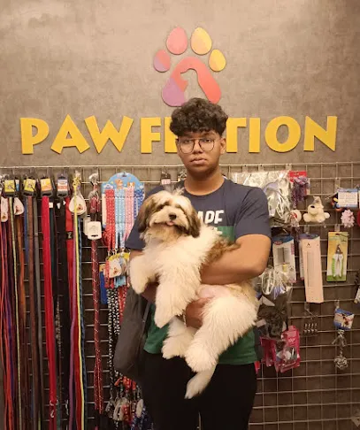 Pawfection | Pet Grooming In Chennai | Dog Grooming | Dog Clipping