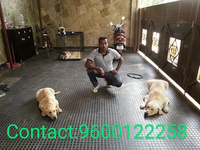 S.V Kennel Dog Training Service | Pet Training | 15+ Experience