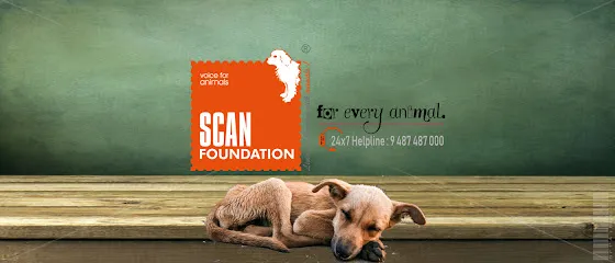 Scan Foundation