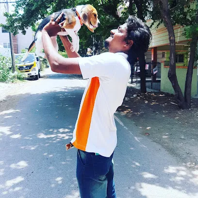 Sigaro Pets Chennai