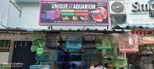 Unique Aquarium