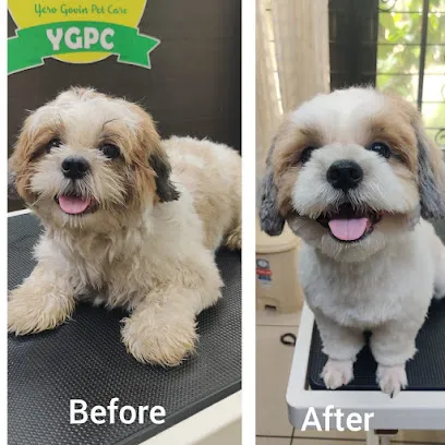 Yeso Govin Pet Care