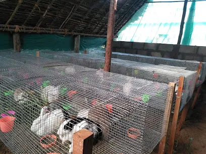 G B Rabbit Farming