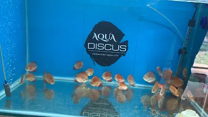 Aqua Discus India