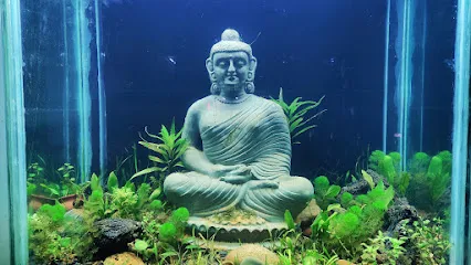 Atlantis Aquascape