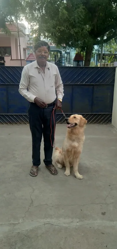 Kovai Kumar Dog Training And Boarding,Home Training