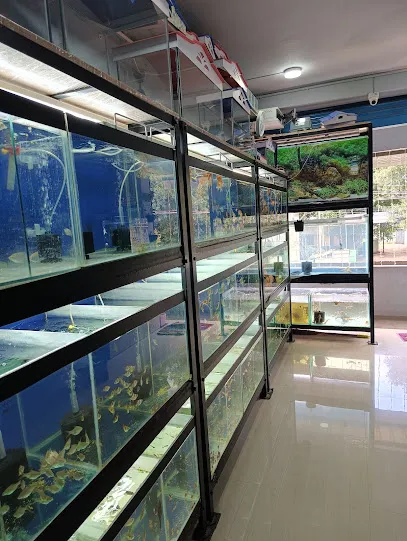 Lucky Fish Aquarium & Pet's