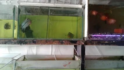 Shree Krishna Aquarium