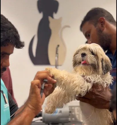 Zutail | Pet Grooming | Door Step Pet Grooming Services