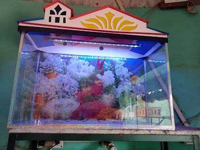 A To Z Aquarium