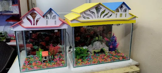 Baibhav Aquarium