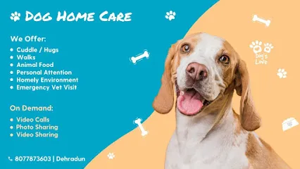 Dog Home Care