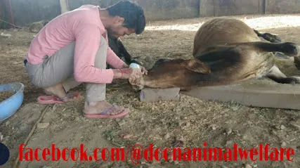 Doon Animal Welfare