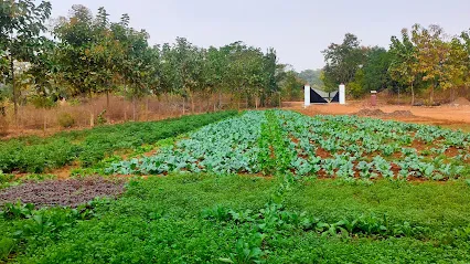 Anuj Krishi Farm