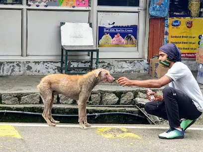 Dharamsala Animal Rescue