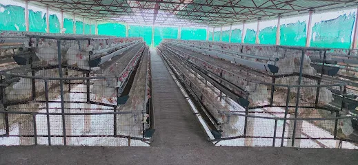 Mahajan Poultry Farm