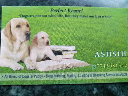 Ashish Dog Trainer In Mumbai