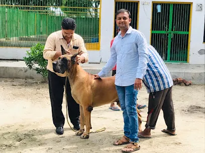 My Friends Pet Kennel, Dombivali(Mumbai)