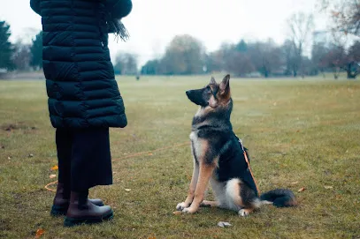 Dog Training Centre